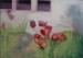 3   Tulipány Pred domom. Olej na plátne 50x70cm